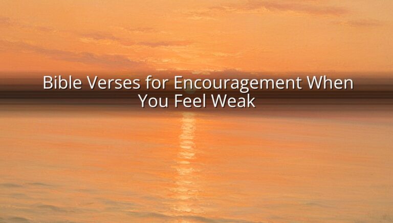 Bible Verses for Encouragement When You Feel Weak