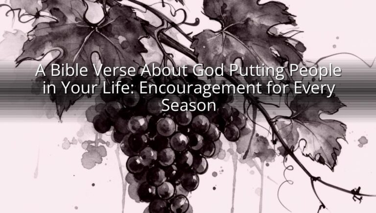 A Bible Verse About God Putting People in Your Life: Encouragement for Every Season
