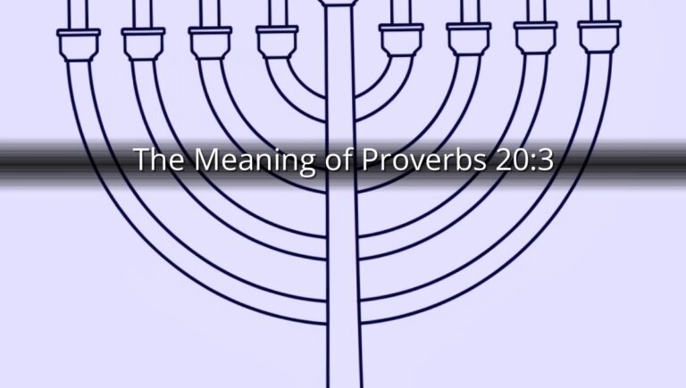 The Meaning of Proverbs 20:3