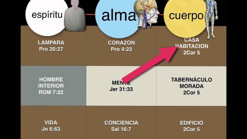 alma-cuerpo-y-espiritu-segun-la-biblia-reina-valera-1960