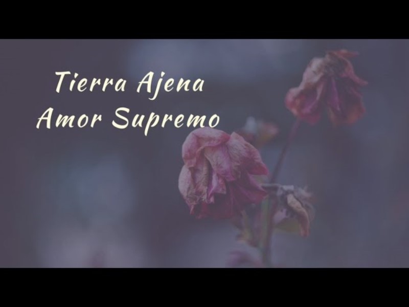 amar-a-dios-en-tierra-ajena-significado