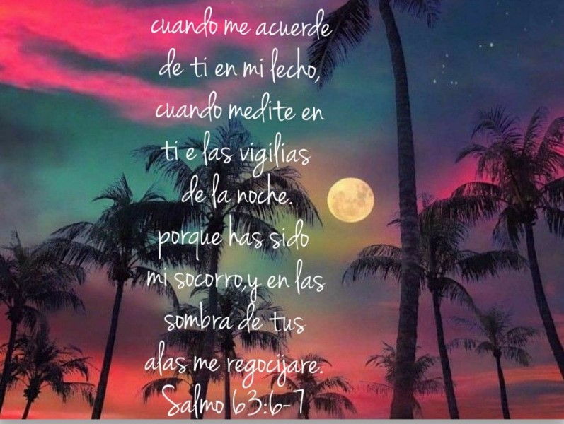 bajo-las-alas-del-senor