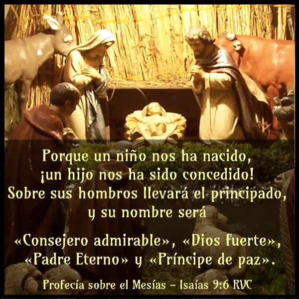 citas-biblicas-catolicas-sobre-el-nacimiento-de-jesus