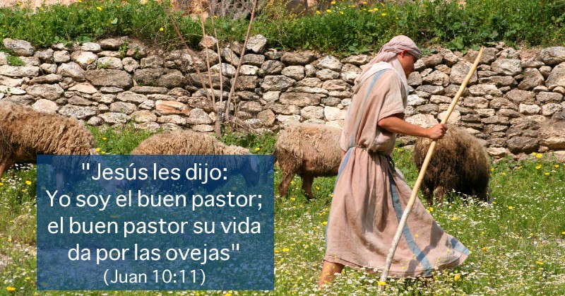 juan-10-1-21-el-buen-pastor-reflexion