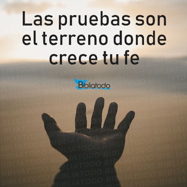 prueba-significado-biblico