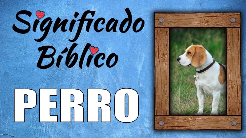 q-dice-la-biblia-de-los-perros