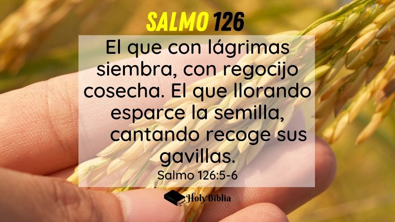 salmo-126-biblia-de-jerusalen