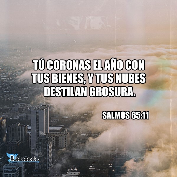 salmo-65-11-biblia-catolica