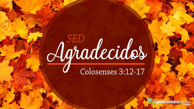 sermon-sed-agradecidos