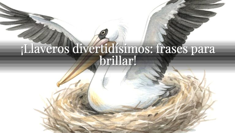 ¡Llaveros divertidísimos: frases para brillar!