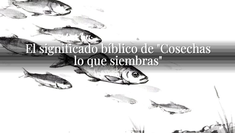 El significado bíblico de "Cosechas lo que siembras"