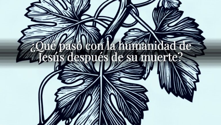 ¿Qué pasó con la humanidad de Jesús después de su muerte?