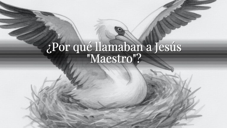 ¿Por qué llamaban a Jesús "Maestro"?